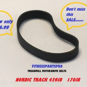 PROFORM NORDIC TRACK REEBOK GOLDS GYM HEALTH RIDER TREADMILL MOTOR DRIVE BELT 8PJ439 170J8